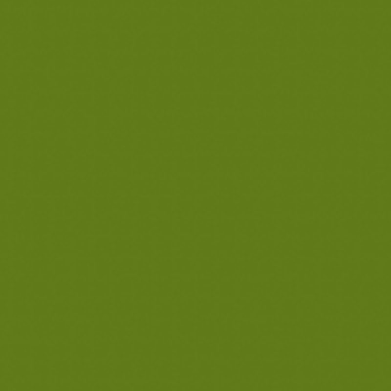 Pfleiderer Limette U19502 Sd) Detail Pfleiderer Limette U19502 Sd) Detail